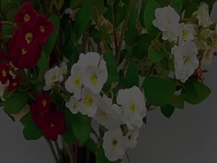 Simulated Rose Flower Cross border Multi head Simulated Flower Artificial Bouquet Wedding Decoration