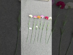 Artificial flower carnations, home decoration items, outdoor wedding bouquets, scene arrangements, w