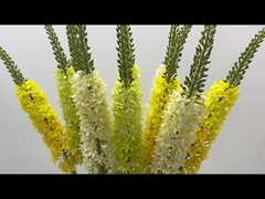 Decoration Fox Tail Grass Simulation Flower Home Living Room Ponytail Flower Flying Swallow Grass Fl