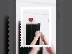 Goddess single small bouquet packaging transparent opp waterproof film wrapped flower paper diy mate