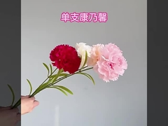 Simulated Single Branch Kangnaixin Mother's Day Gift Simulated Flower High end Silk Flower Home Deco