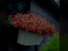 Outdoor festival decorations, autumn plants, artificial eucalyptus leaves, eucalyptus violets, daisi