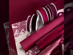 2024 Ankela Red Element