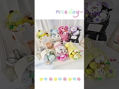  Wholesale plush Sanrio dolls for your girlfriend and best friend's Valentine's Day cartoon doll bo