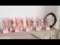 pvc transparent panoramic rose single diy flower arrangement box, hand-held lighthouse flower packag