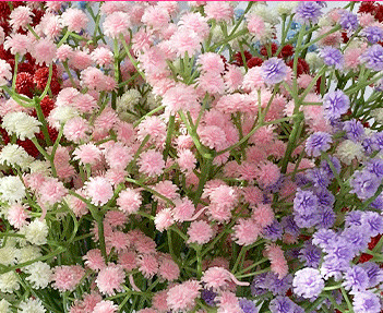 Good price Soft Adhesive Fake Wall Plants Various Colours for Home Decoration online