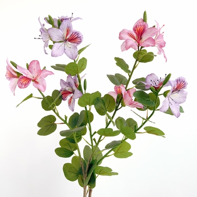 Good price Chinese Redbud Plastic Artificial Bauhinia Flower for Home and Hotel Decor online