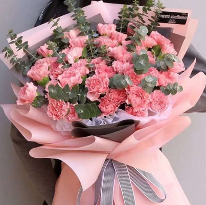 Good price Wholesale flower wrapping paper, flower bouquets, bubble balls, decorative Korean vegetarian paper, matte waterproof, semi-transparent floral packaging materials online