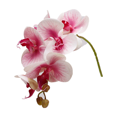 Good price Plastic simulation 3D butterfly orchid wedding decoration, petal props, fake flowers, small flower bundles, butterfly orchid simulation flowers online