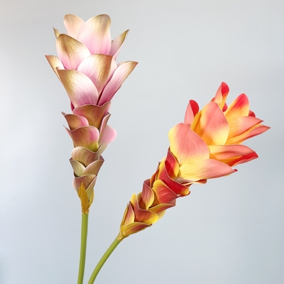 Good price Simulated Flowers, Ginger Flowers, Lotus Flowers, 3D Printing, Texture Flowers, Home Decor, Model Room Decoration, Wedding Scenery Props, Bouquet online