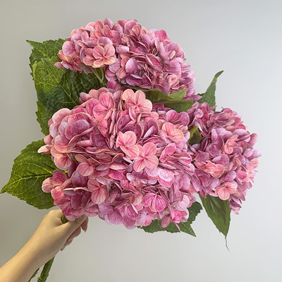 Good price Biomimetic hydrangea flowers, simulated flowers, moisturizing touch, hydrangea bouquets, living room dining table decorations, wedding flower arrangement decorations online