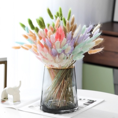 Buy Ins website red flower bouquet eternal life flower home living room decoration ornament rabbit tail grass dog tail grass dried flower online manufacture