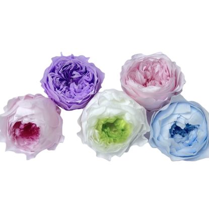 Buy Eternal Rose Austin 8-Piece Set, Premium Gift DIY Materials, Wholesale Dried Flowers, Chocolate Bubbles online manufacture