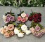 11 Heads Silk Artificial Rose Flowers For Hom Decoration
