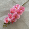 Natural Real Touch Latex Moth Orchid Decorative Artificial Flower Butterfly Orchid