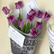 Waterproof And Multicolor Decorative Artificial Flower Selection