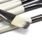 Filbert Shaped Acrylic Painting Brush 6Pcs Natural Bristle Artist Paint Brush