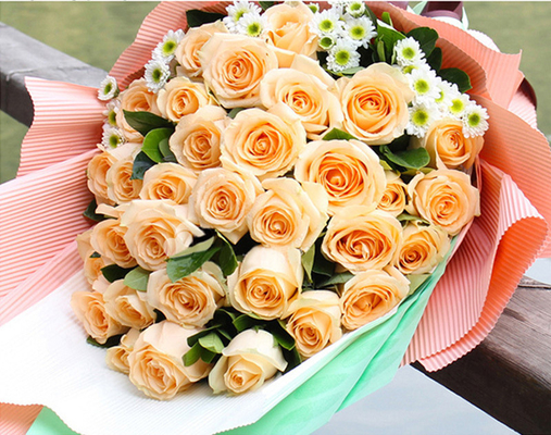 Good price Plain Colour Corrugated Paper 50cmx70cm Non Waterproof For Flower Wrapping online