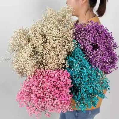 Good price 100g Dried Flower Artificial Bouquet Baby Breath Gypsophila Flower Wedding Decor Centerpiece online