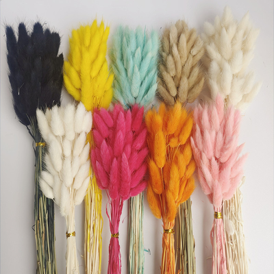 Good price Rabbit Tail Grass True Flower Dried Flower Bouquet Amazon Cross border Hot Selling Dyeing Immortal Flower online