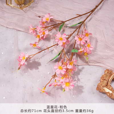 Good price Blue Star Flower Simulation Flower Fake Bouquet Artificial Silk Flower Plastic Insertion Floral Decoration Wedding Decoration Living Room Decoration online