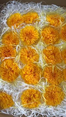 Good price Preserved flower dhalia romantic Valentine's Day gift hand-made bouquet material  online
