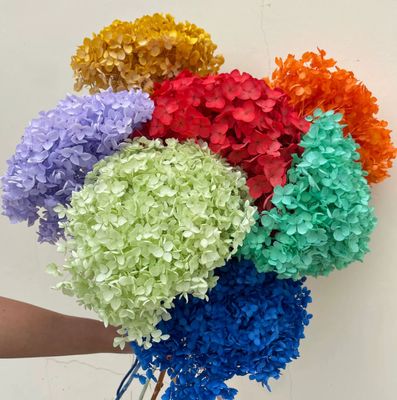 Good price Preserved flower Anna Hydrangea romantic Valentine's Day gift hand-made bouquet material  online
